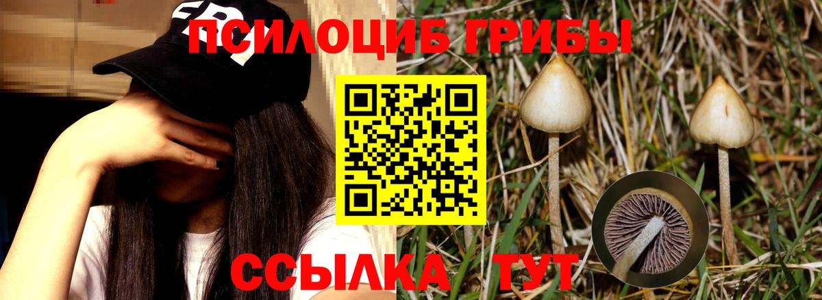 Зеленодольск  Галлюциногенные грибы Magic Shrooms  Вход с VPN 