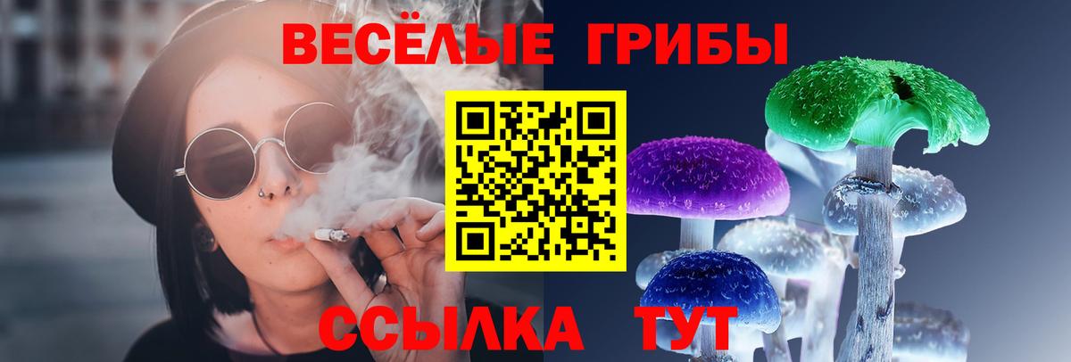 Галлюциногенные грибы Psilocybe Зеленодольск